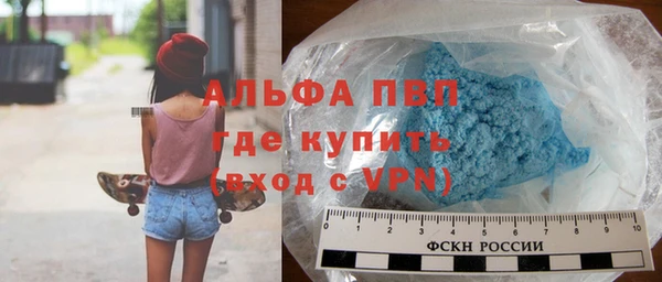 ПСИЛОЦИБИНОВЫЕ ГРИБЫ Касимов