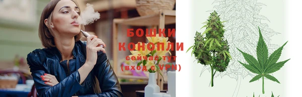 apvp Карпинск