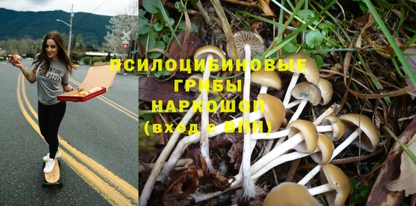 ПСИЛОЦИБИНОВЫЕ ГРИБЫ Касимов