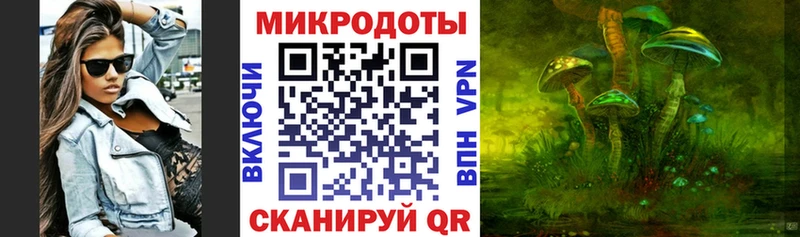 Галлюциногенные грибы Psilocybe  Купить  Волоколамск 